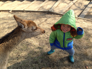 image-20140311113422.png